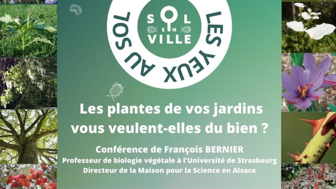 Lire la suite à propos de l’article Les plantes de vos jardins vous veulent-elles du bien ? – François Bernier