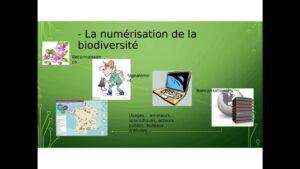 Lire la suite à propos de l’article Les sciences participatives : enjeux et débats actuels