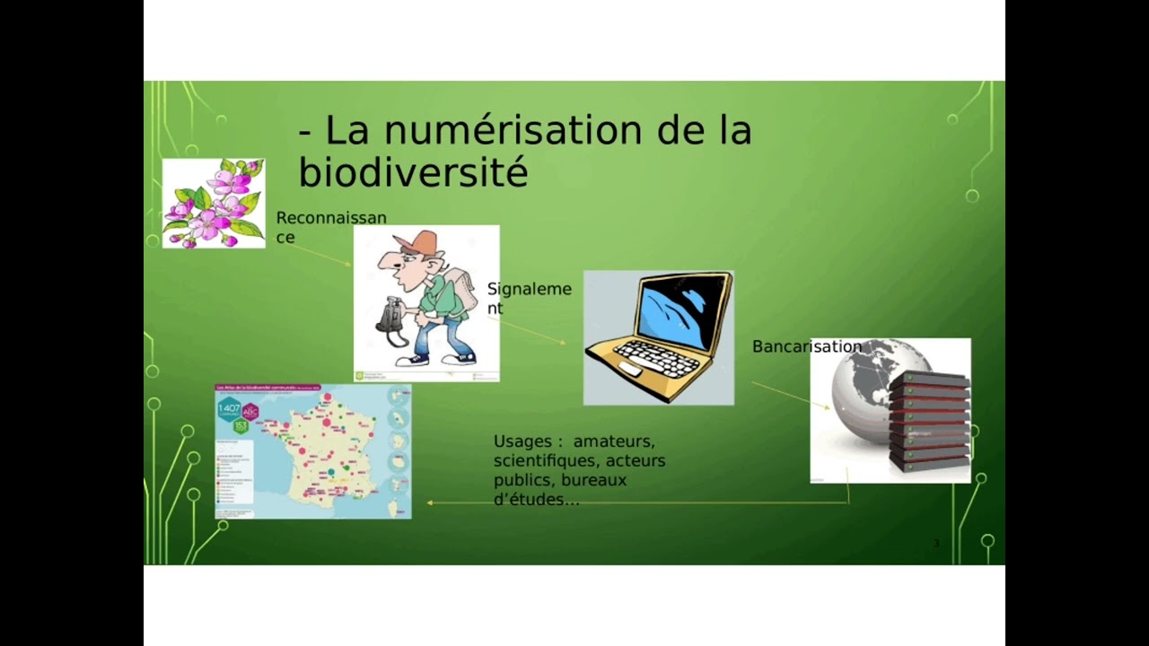 You are currently viewing Les sciences participatives : enjeux et débats actuels