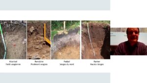 Lire la suite à propos de l’article Pédologie
