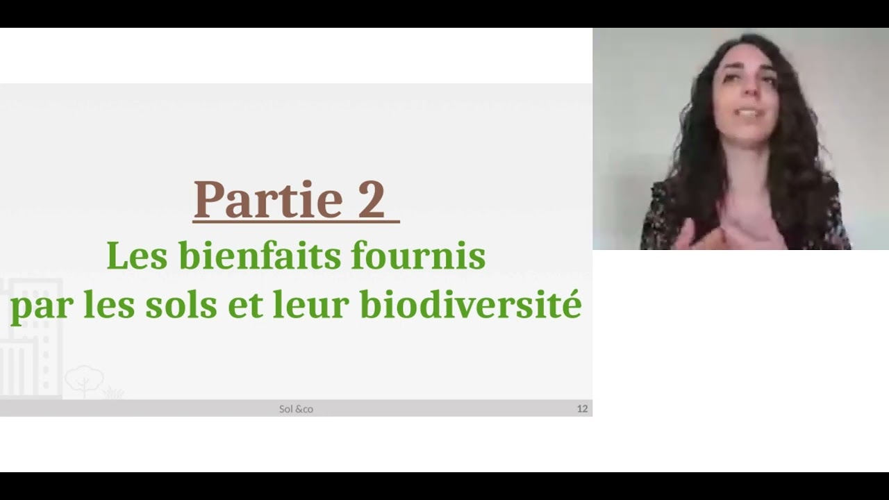 You are currently viewing Sols et urbanisation