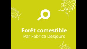Lire la suite à propos de l’article Forêt comestibles