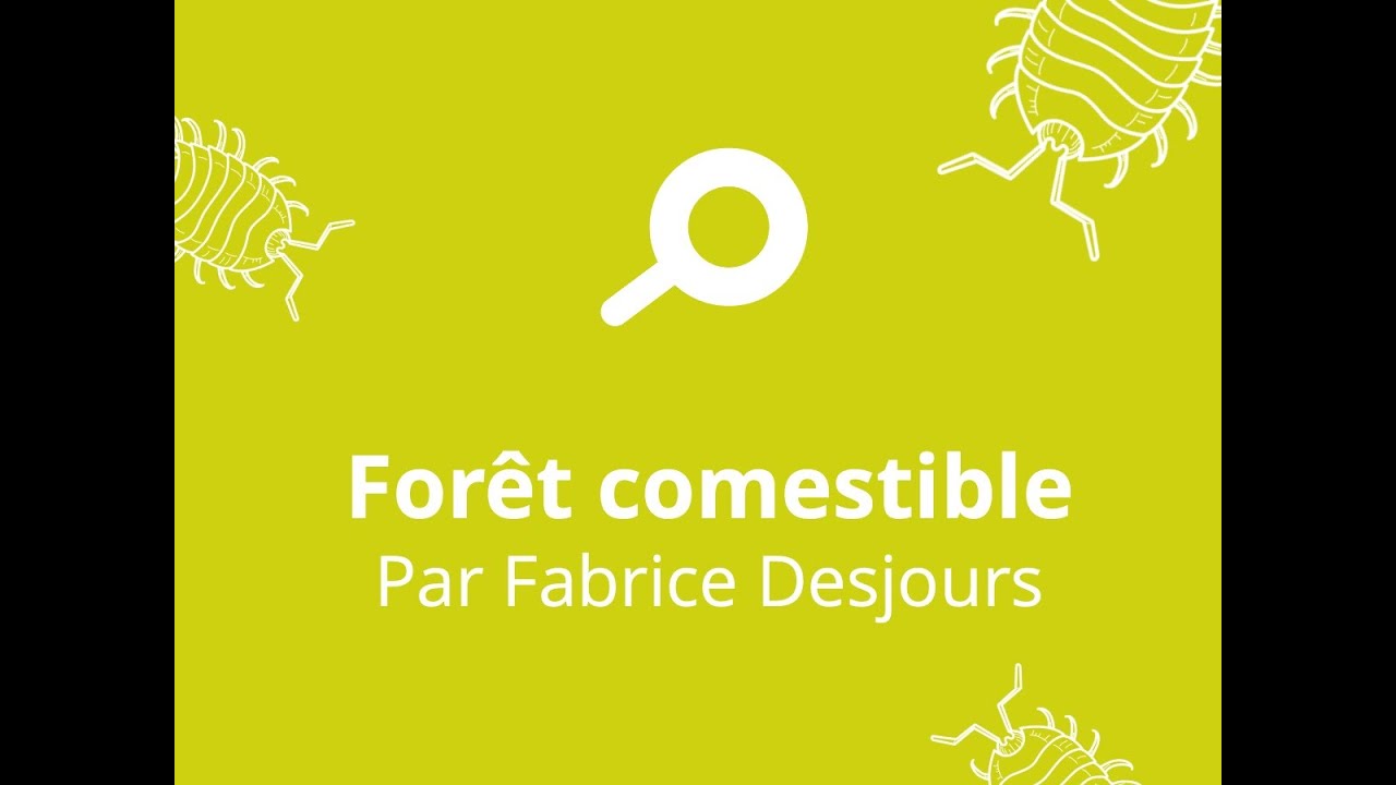 Lire la suite à propos de l’article Forêt comestibles