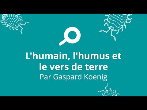 You are currently viewing L&rsquo;humain, l&rsquo;humus et le vers de terre par garspard Koenig
