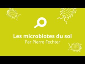 Lire la suite à propos de l’article Microbiotes du sol par Pierre Fechter