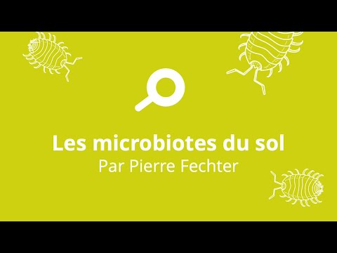 You are currently viewing Microbiotes du sol par Pierre Fechter