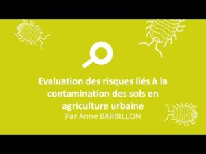 Lire la suite à propos de l’article Cultures alimentaires et sols contaminés : retour d’expérience
