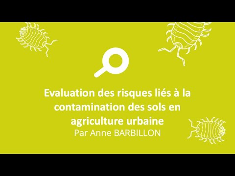 Lire la suite à propos de l’article Cultures alimentaires et sols contaminés : retour d’expérience