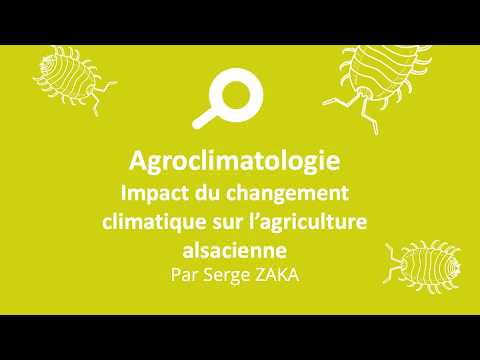 You are currently viewing Quand le climat menace notre modèle alimentaire
