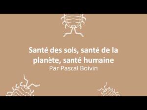 Lire la suite à propos de l’article Conférence – Humus, santé et métabolisme du sol par Pascal Boivin
