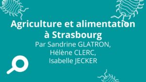 Lire la suite à propos de l’article Agriculture et alimentation à Strasbourg par Sandrine Glatron