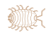 Cloporte_marron